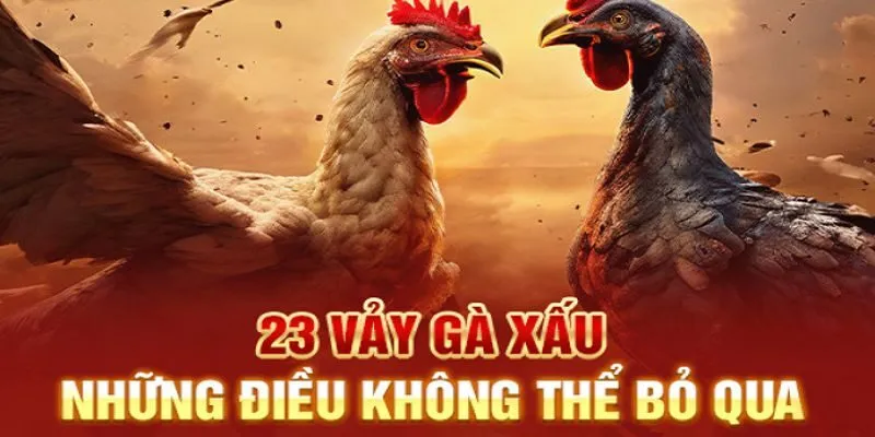 23 Vảy Gà Xấu – Xử Lý Sớm Để Gà Chiến Luôn Mạnh Mẽ